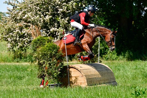 Goldene Schärpe Ponys in Hohen Luckow 1-4.6.23 | 04062023 Felix Triskatis  - Quedence_08 