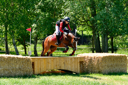 Goldene Schärpe Ponys in Hohen Luckow 1-4.6.23 | 04062023 Felix Triskatis  - Quedence_11 
