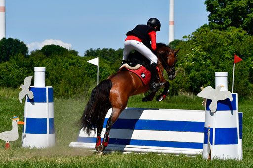 Goldene Schärpe Ponys in Hohen Luckow 1-4.6.23 | 04062023 Felix Triskatis  - Quedence_12 