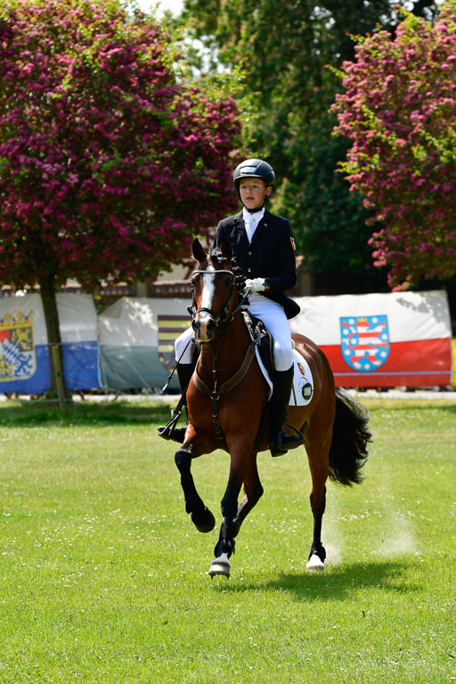 Goldene Schärpe Ponys in Hohen Luckow 1-4.6.23 | 04062023 Felix Triskatis  - Quedence_18 