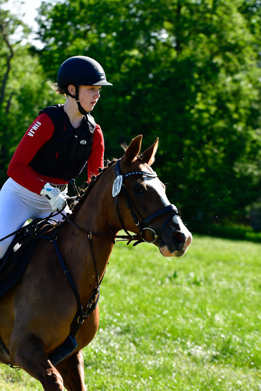 Goldene Schärpe Ponys in Hohen Luckow 1-4.6.23 | 04062023 Finnja Schruttke  - Great Stripe_03 