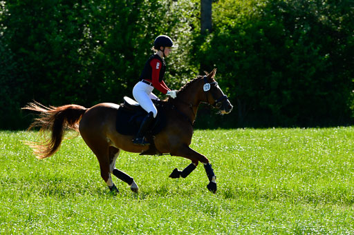 Goldene Schärpe Ponys in Hohen Luckow 1-4.6.23 | 04062023 Finnja Schruttke  - Great Stripe_07 