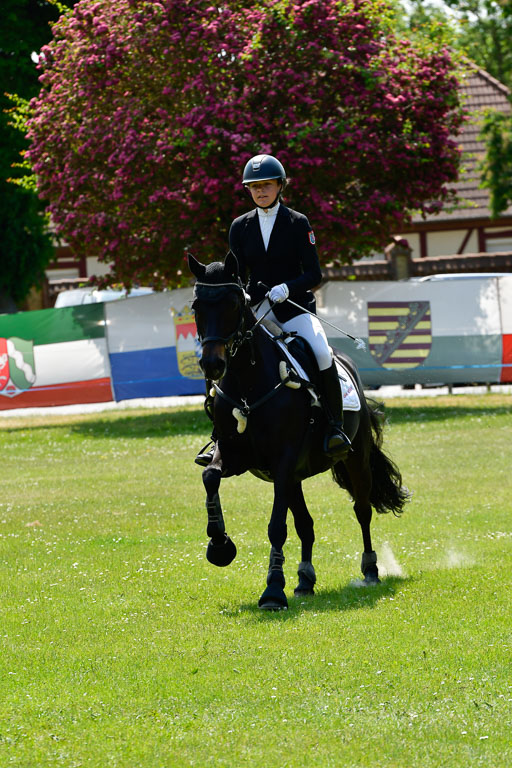 Goldene Schärpe Ponys in Hohen Luckow 1-4.6.23 | 04062023  Flora Endres - Dark Dynamite_24 