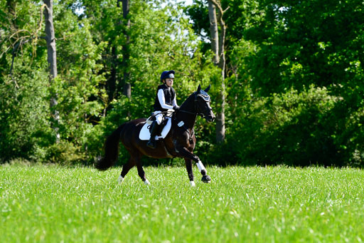Goldene Schärpe Ponys in Hohen Luckow 1-4.6.23 | 04062023   Frieda Schulze Zurmussen - Milka_04 