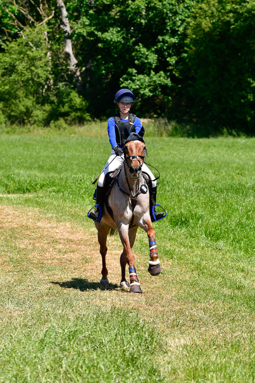 Goldene Schärpe Ponys in Hohen Luckow 1-4.6.23 | 04062023 Greta H  Hagen - Nogger Boy 