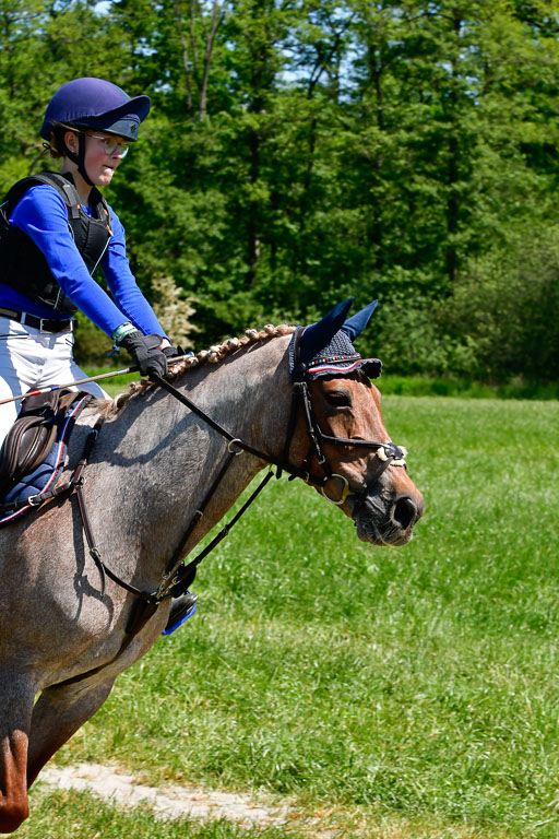 Goldene Schärpe Ponys in Hohen Luckow 1-4.6.23 | 04062023 Greta H  Hagen - Nogger Boy_02 