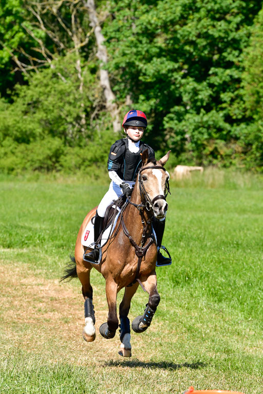 Goldene Schärpe Ponys in Hohen Luckow 1-4.6.23 | 04062023 Greta Marie Löhr - Dainy_01 
