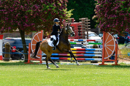 Goldene Schärpe Ponys in Hohen Luckow 1-4.6.23 | 04062023 Greta Marie Löhr - Dainy_25 