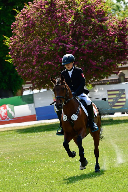 Goldene Schärpe Ponys in Hohen Luckow 1-4.6.23 | 04062023 Jacob Gäher - Weper_24 