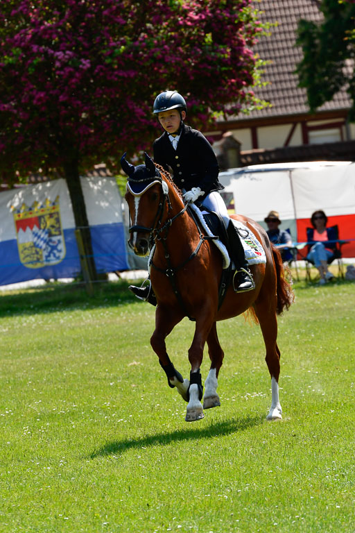 Goldene Schärpe Ponys in Hohen Luckow 1-4.6.23 | 04062023  Janne Stutzer - Kintao_22 