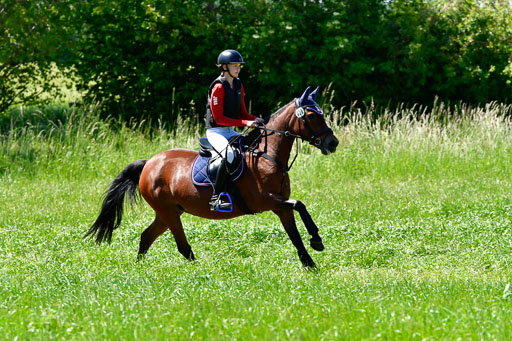 Goldene Schärpe Ponys in Hohen Luckow 1-4.6.23 | 04062023 Jona Wichmann - Evelyn_10 