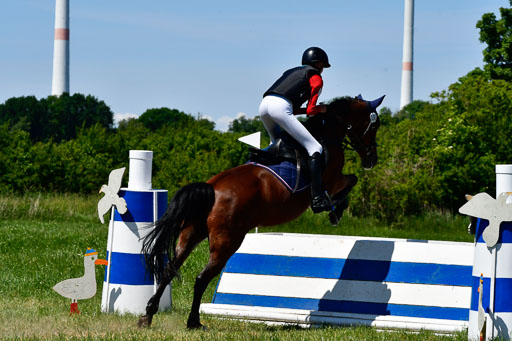 Goldene Schärpe Ponys in Hohen Luckow 1-4.6.23 | 04062023 Jona Wichmann - Evelyn_15 