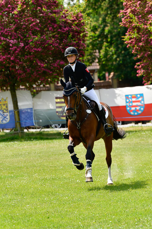 Goldene Schärpe Ponys in Hohen Luckow 1-4.6.23 | 04062023 Joyce Mölders - Nesquik_19 
