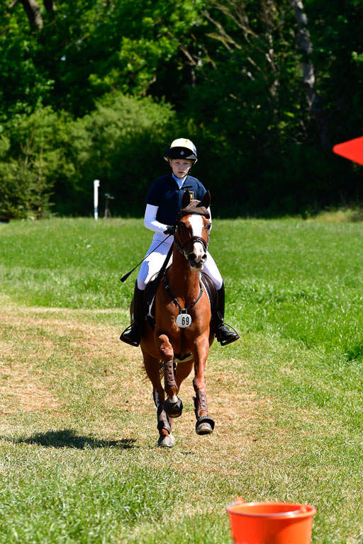 Goldene Schärpe Ponys in Hohen Luckow 1-4.6.23 | 04062023 Jule Koch - Mephisto 