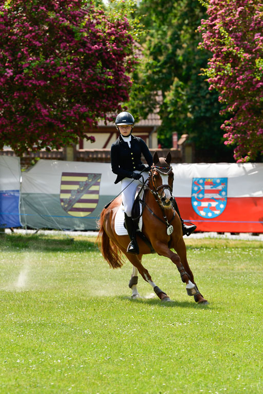 Goldene Schärpe Ponys in Hohen Luckow 1-4.6.23 | 04062023 Jule Koch - Mephisto_24 