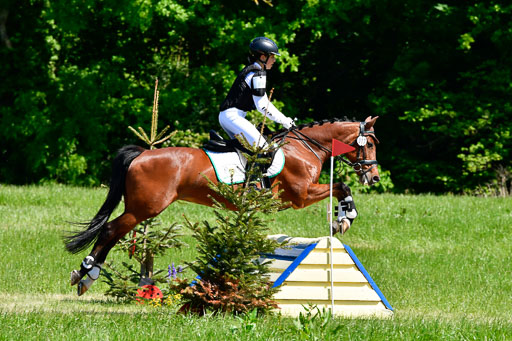 Goldene Schärpe Ponys in Hohen Luckow 1-4.6.23 | 04062023 Julia Reichel - Chalsey_02 