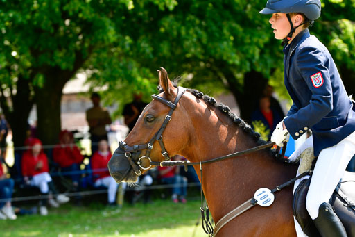 Goldene Schärpe Ponys in Hohen Luckow 1-4.6.23 | 04062023 Justus Hayessen - Triniti K_20 