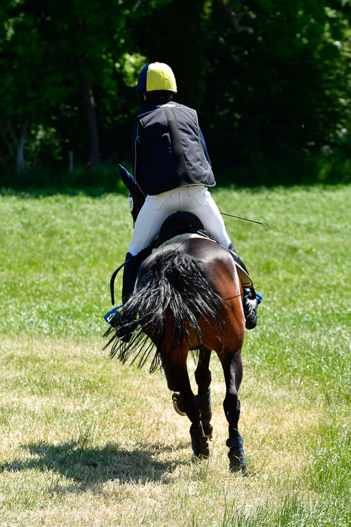 Goldene Schärpe Ponys in Hohen Luckow 1-4.6.23 | 04062023 Justus Seegel - Fantasy_04 