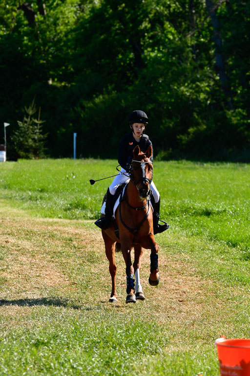 Goldene Schärpe Ponys in Hohen Luckow 1-4.6.23 | 04062023 Justus von Paepke - Double you_01 