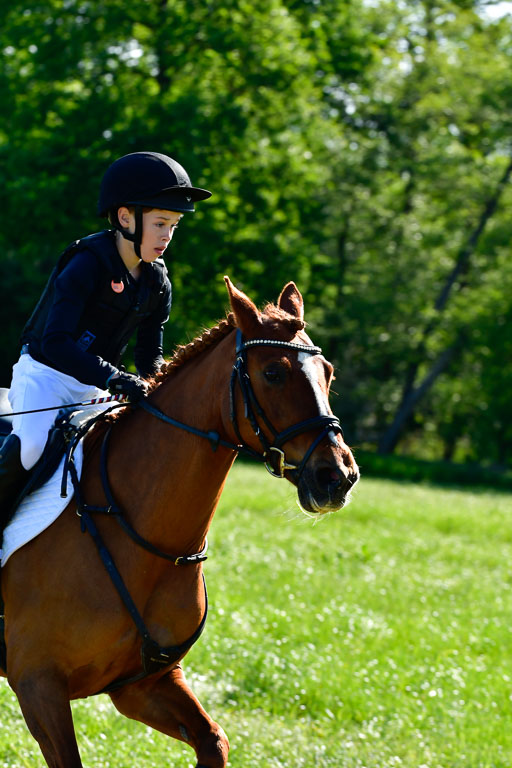 Goldene Schärpe Ponys in Hohen Luckow 1-4.6.23 | 04062023 Justus von Paepke - Double you_04 