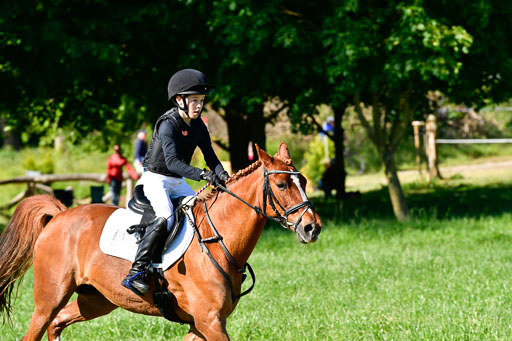 Goldene Schärpe Ponys in Hohen Luckow 1-4.6.23 | 04062023 Justus von Paepke - Double you_15 