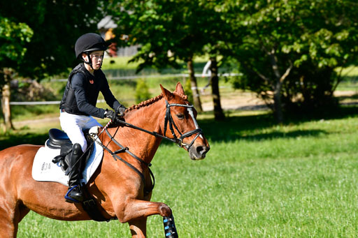 Goldene Schärpe Ponys in Hohen Luckow 1-4.6.23 | 04062023 Justus von Paepke - Double you_16 