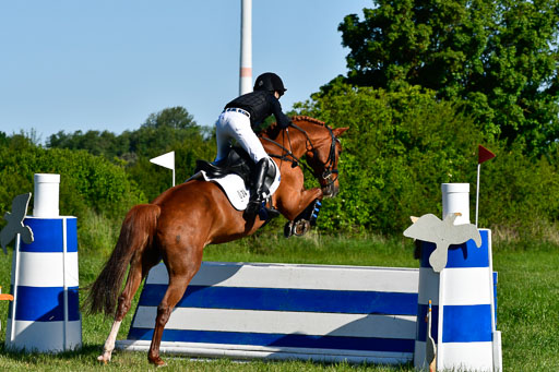 Goldene Schärpe Ponys in Hohen Luckow 1-4.6.23 | 04062023 Justus von Paepke - Double you_17 