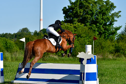 Goldene Schärpe Ponys in Hohen Luckow 1-4.6.23 | 04062023 Justus von Paepke - Double you_18 