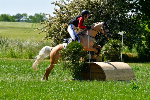Goldene Schärpe Ponys in Hohen Luckow 1-4.6.23 | 04062023 Karlotta Walla - Lilian_12 