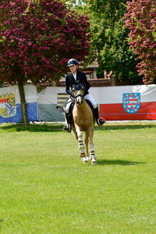 Goldene Schärpe Ponys in Hohen Luckow 1-4.6.23 | 04062023 Laura Scheidtweiler - El Amigo  Mio_29 