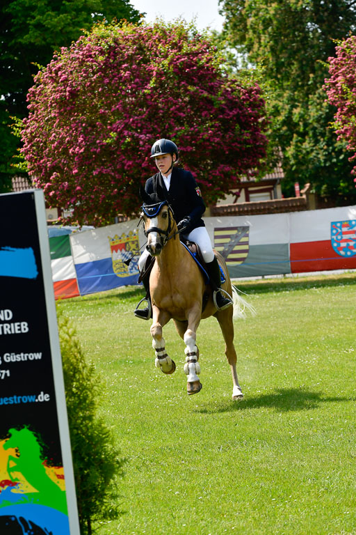 Goldene Schärpe Ponys in Hohen Luckow 1-4.6.23 | 04062023 Laura Scheidtweiler - El Amigo  Mio_31 