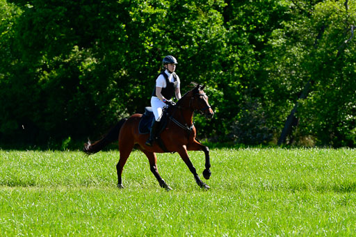 Goldene Schärpe Ponys in Hohen Luckow 1-4.6.23 | 04062023 Lea Elzmann - Kassander_03 