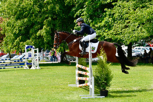 Goldene Schärpe Ponys in Hohen Luckow 1-4.6.23 | 04062023 Lea Elzmann - Kassander_17 