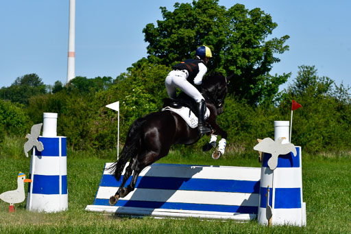 Goldene Schärpe Ponys in Hohen Luckow 1-4.6.23 | 04062023 Leeann Müller - Navis_12 