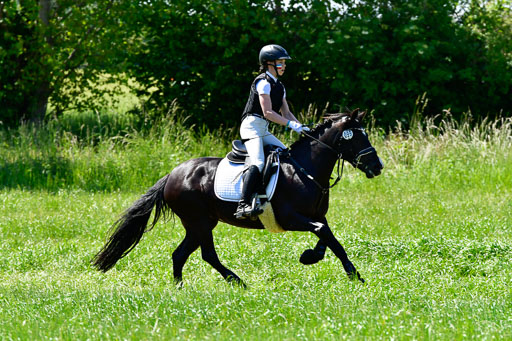 Goldene Schärpe Ponys in Hohen Luckow 1-4.6.23 | 04062023  Lenja Bos - Sulea_12 