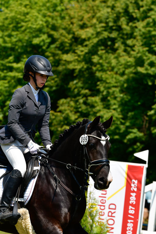 Goldene Schärpe Ponys in Hohen Luckow 1-4.6.23 | 04062023  Lenja Bos - Sulea_23 