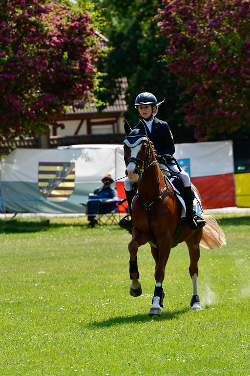 Goldene Schärpe Ponys in Hohen Luckow 1-4.6.23 | 04062023 Linda Noack - Casper -_25 