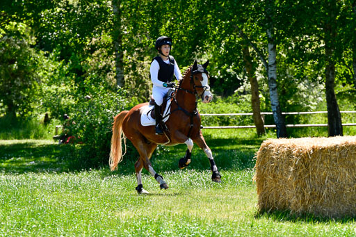 Goldene Schärpe Ponys in Hohen Luckow 1-4.6.23 | 04062023 Lola Stranzenbach - Valon_12 