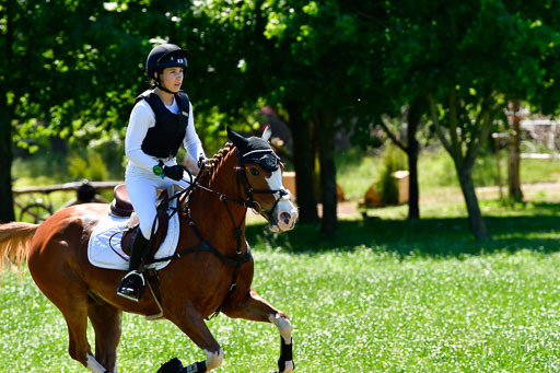 Goldene Schärpe Ponys in Hohen Luckow 1-4.6.23 | 04062023 Lola Stranzenbach - Valon_15 