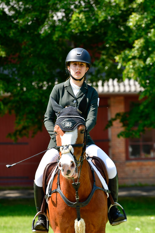 Goldene Schärpe Ponys in Hohen Luckow 1-4.6.23 | 04062023 Lola Stranzenbach - Valon_18 