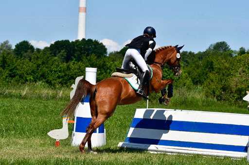 Goldene Schärpe Ponys in Hohen Luckow 1-4.6.23 | 04062023 Lotta Hohmann - Devils Joy_12 