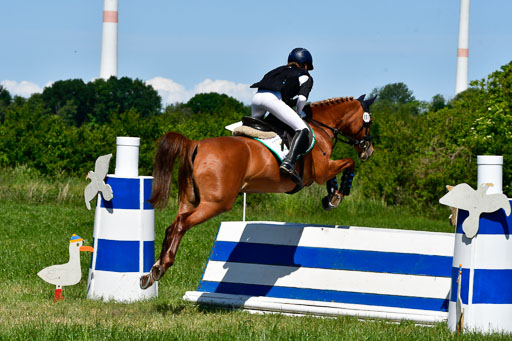 Goldene Schärpe Ponys in Hohen Luckow 1-4.6.23 | 04062023 Lotta Hohmann - Devils Joy_13 