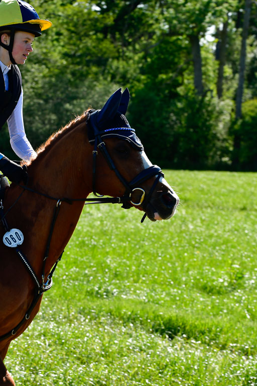 Goldene Schärpe Ponys in Hohen Luckow 1-4.6.23 | 04062023 Lucia Heidtmann - Little Foxy_02 