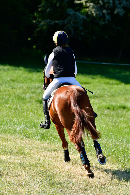 Goldene Schärpe Ponys in Hohen Luckow 1-4.6.23 | 04062023 Lucia Heidtmann - Little Foxy_03 