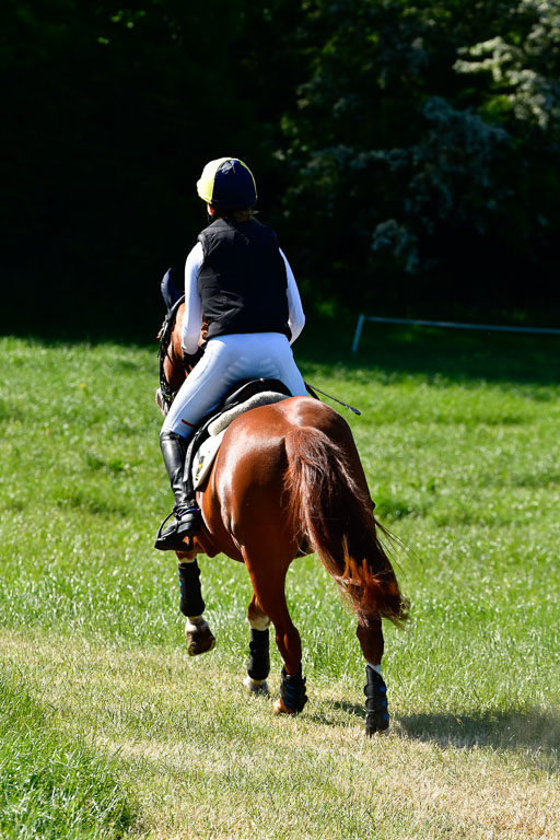 Goldene Schärpe Ponys in Hohen Luckow 1-4.6.23 | 04062023 Lucia Heidtmann - Little Foxy_04 
