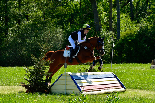 Goldene Schärpe Ponys in Hohen Luckow 1-4.6.23 | 04062023 Lucia Heidtmann - Little Foxy_07 