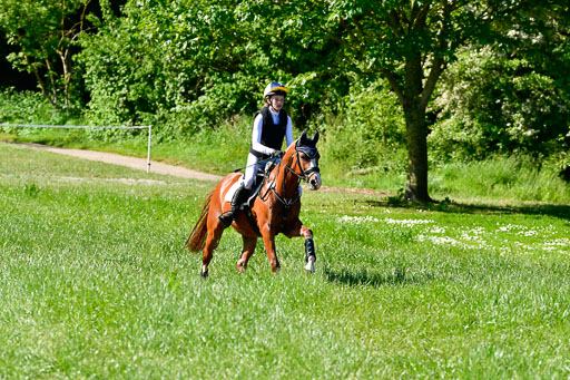 Goldene Schärpe Ponys in Hohen Luckow 1-4.6.23 | 04062023 Lucia Heidtmann - Little Foxy_09 