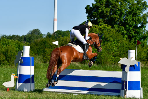 Goldene Schärpe Ponys in Hohen Luckow 1-4.6.23 | 04062023 Lucia Heidtmann - Little Foxy_15 