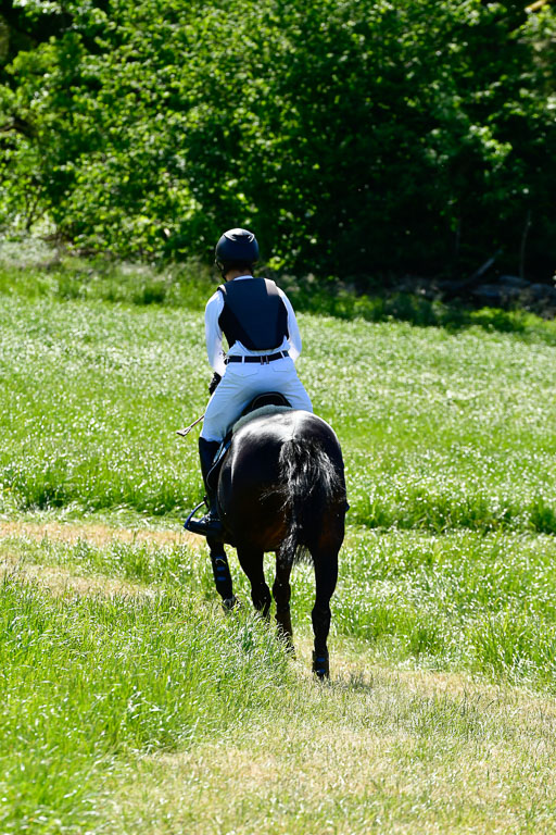 Goldene Schärpe Ponys in Hohen Luckow 1-4.6.23 | 04062023 Lukas Goertz - Rum Key _03 