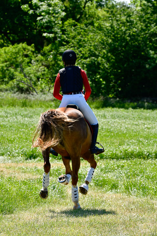 Goldene Schärpe Ponys in Hohen Luckow 1-4.6.23 | 04062023  Madison J Kirstein - Simba_04 
